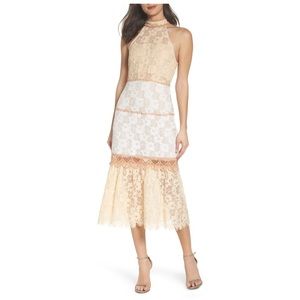 FOXIEDOX ‘Amelia’ Lace Midi Dress NWT
